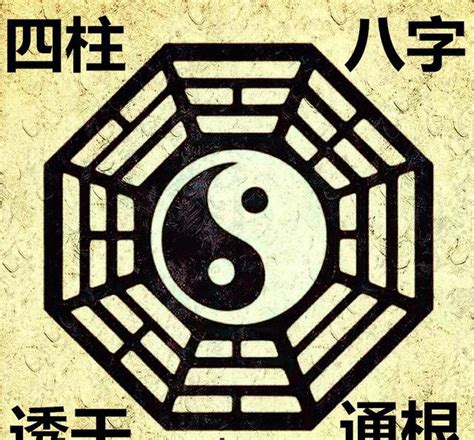 透干通根|读懂通根、透干、藏干，会断五行旺衰。